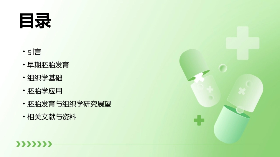 人体胚胎发生组织学和胚胎学通用课件_第2页