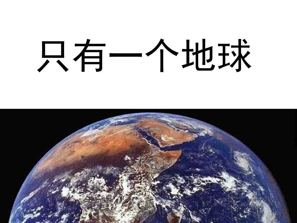 13只有一个地球_第2页