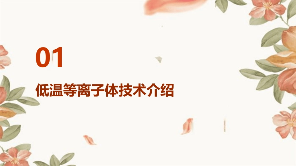 低温等离子体处理汽车尾气概要课件_第3页