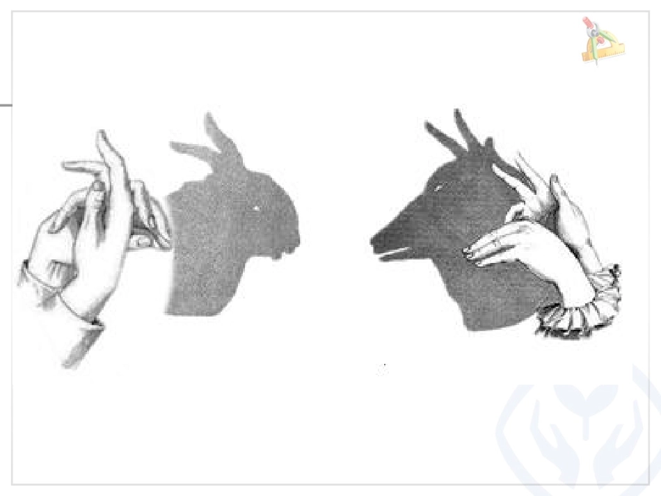 小学数学2011版本小学四年级观察物体(二)例2_第2页