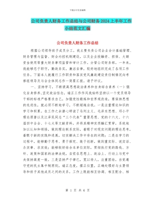 公司负责人财务工作总结与公司财务2024上半年工作小结范文汇编