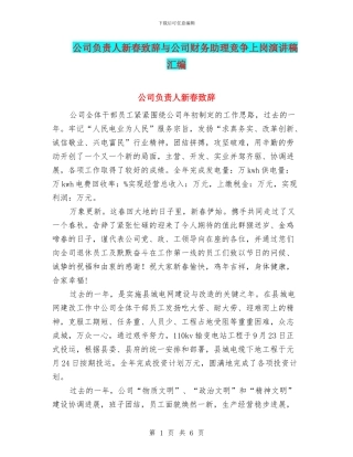 公司负责人新春致辞与公司财务助理竞争上岗演讲稿汇编