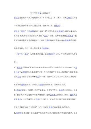 123MicrosoftWord文档