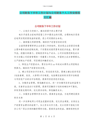 公司财务下半年工作计划与公司财务个人工作安排范文汇编