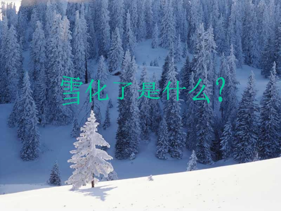 事物的正确答案不止一个课件_第2页