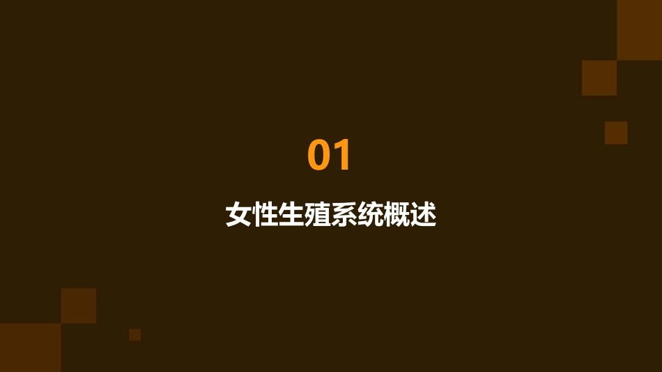 产科 女性生殖系统生理子宫内膜及其他生殖器官周期性变化护理课件_第3页