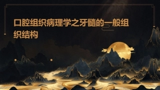 口腔组织病理学之牙髓的一般组织结构