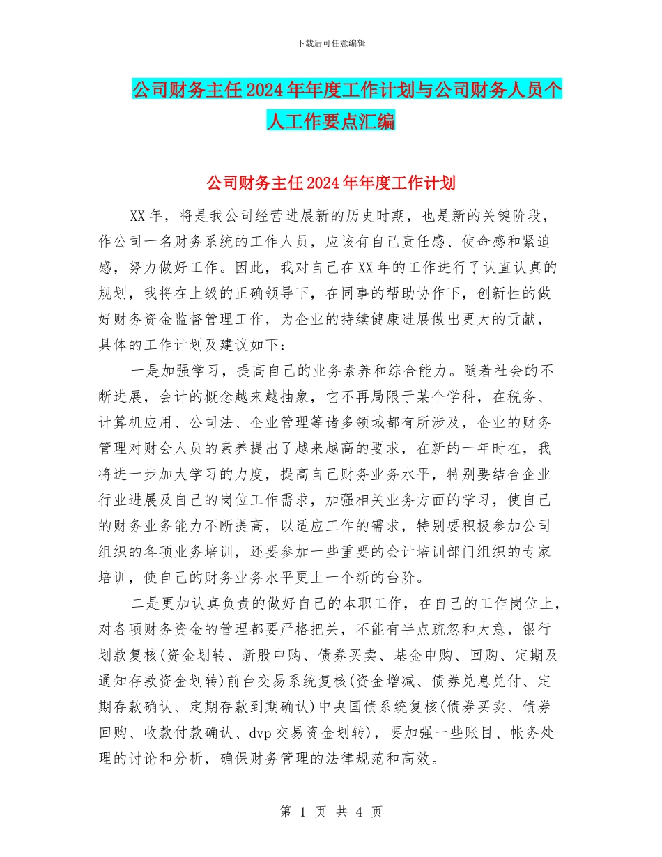 公司财务主任2024年年度工作计划与公司财务人员个人工作要点汇编_第1页