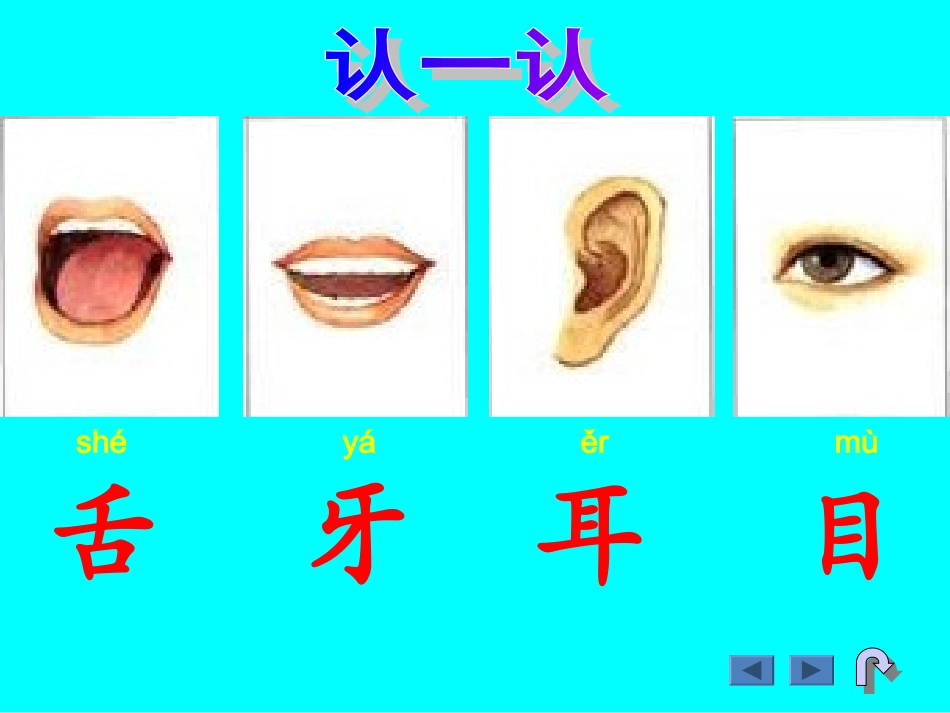 认一认1课件_第3页