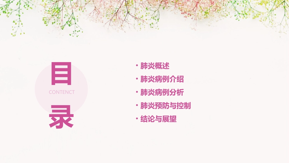 肺炎病例分析课件_第2页