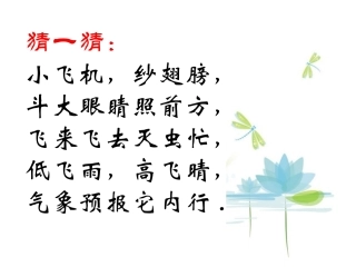 3年级红蜻蜓课件(丁晓浩)