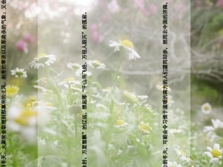 (部编)初中语文人教2011课标版七年级上册老舍《济南的冬天》