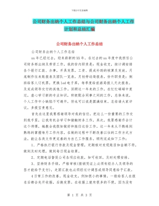 公司财务出纳个人工作总结与公司财务出纳个人工作计划和总结汇编