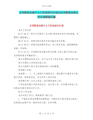 公司财务出纳个人工作总结与计划与公司财务出纳工作计划新选汇编