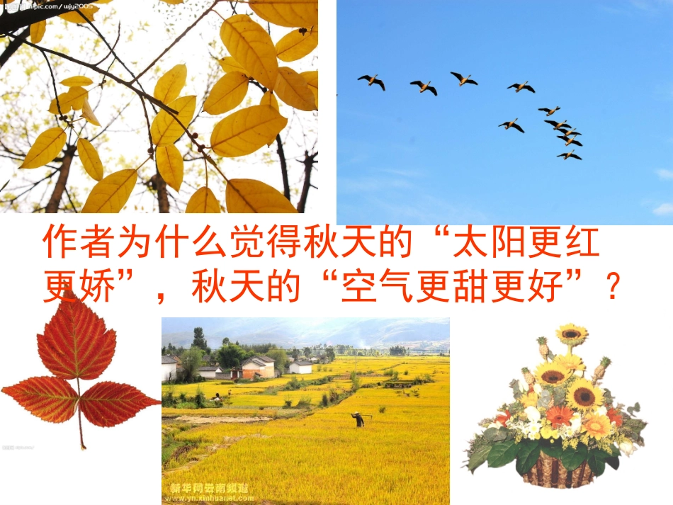 《秋天》第二课时_第3页