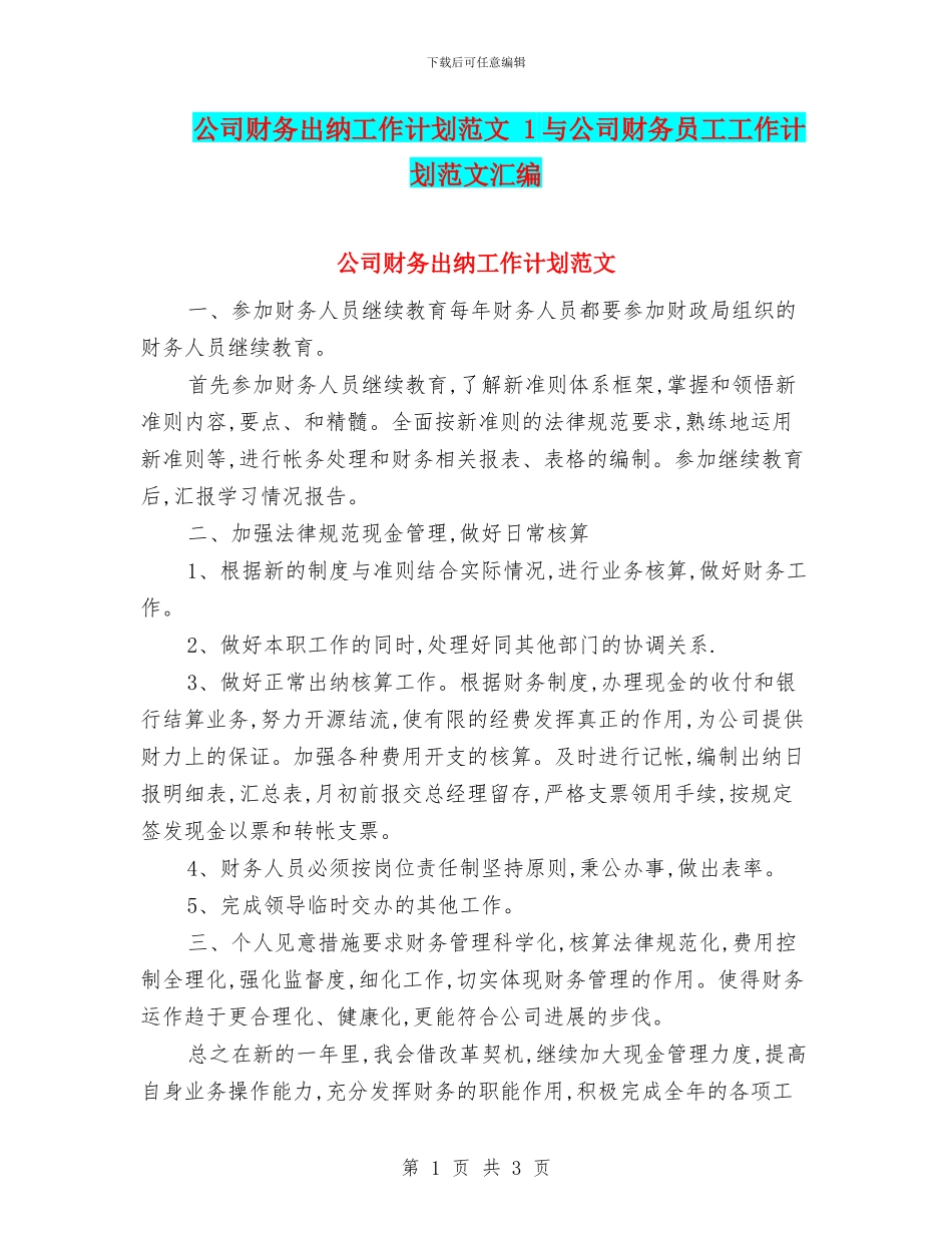 公司财务出纳工作计划范文_第1页