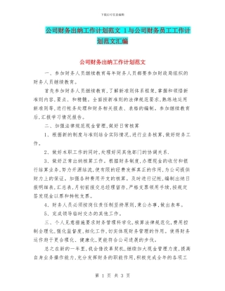 公司财务出纳工作计划范文