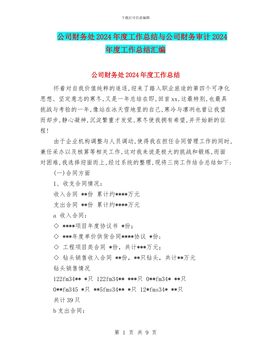 公司财务处2024年度工作总结与公司财务审计2024年度工作总结汇编_第1页
