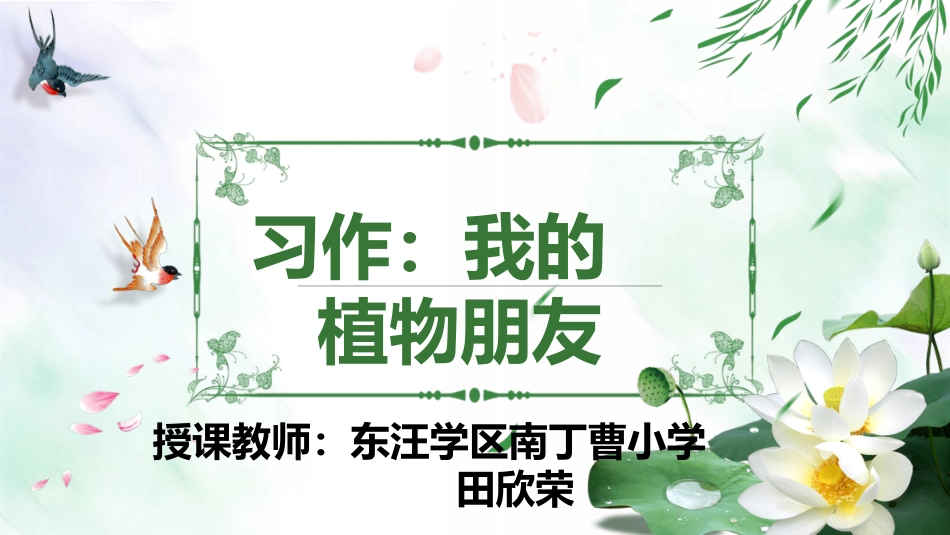 习作：我的植物朋友_第1页