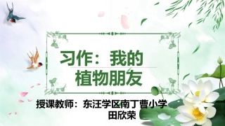 习作：我的植物朋友