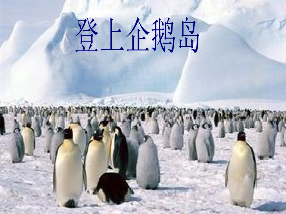 三年级下册《登上企鹅岛》PPT(语文S版)_第1页