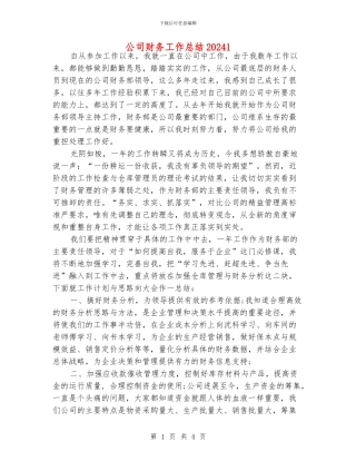 公司财务工作总结20241