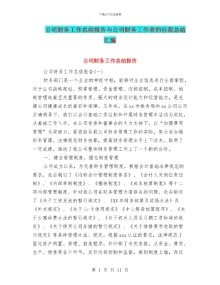 公司财务工作总结报告与公司财务工作者的自我总结汇编