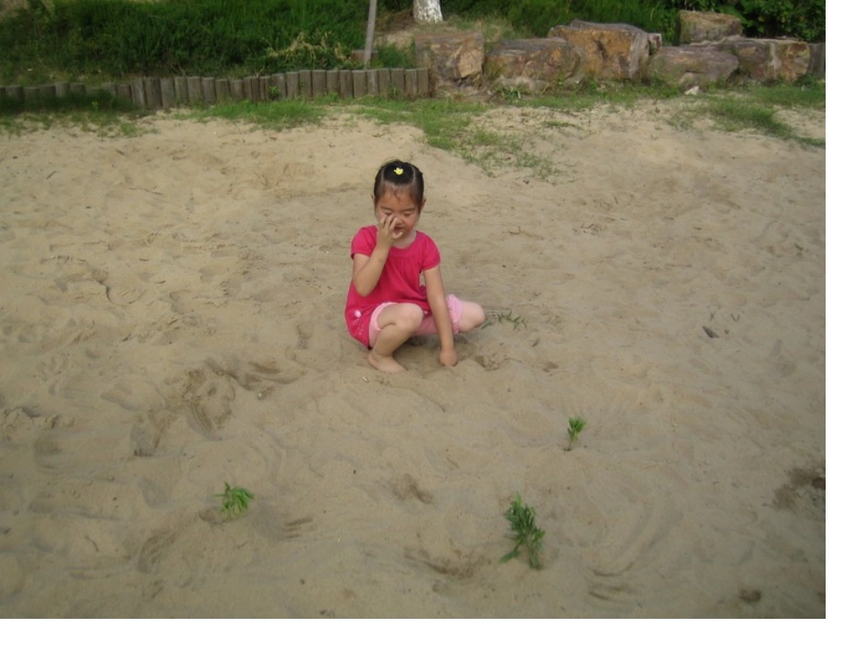 安全《不要用手揉眼睛》_第1页