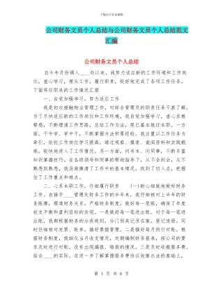 公司财务文员个人总结与公司财务文员个人总结范文汇编