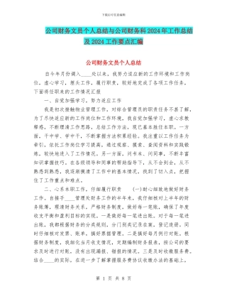 公司财务文员个人总结与公司财务科2024年工作总结及2024工作要点汇编