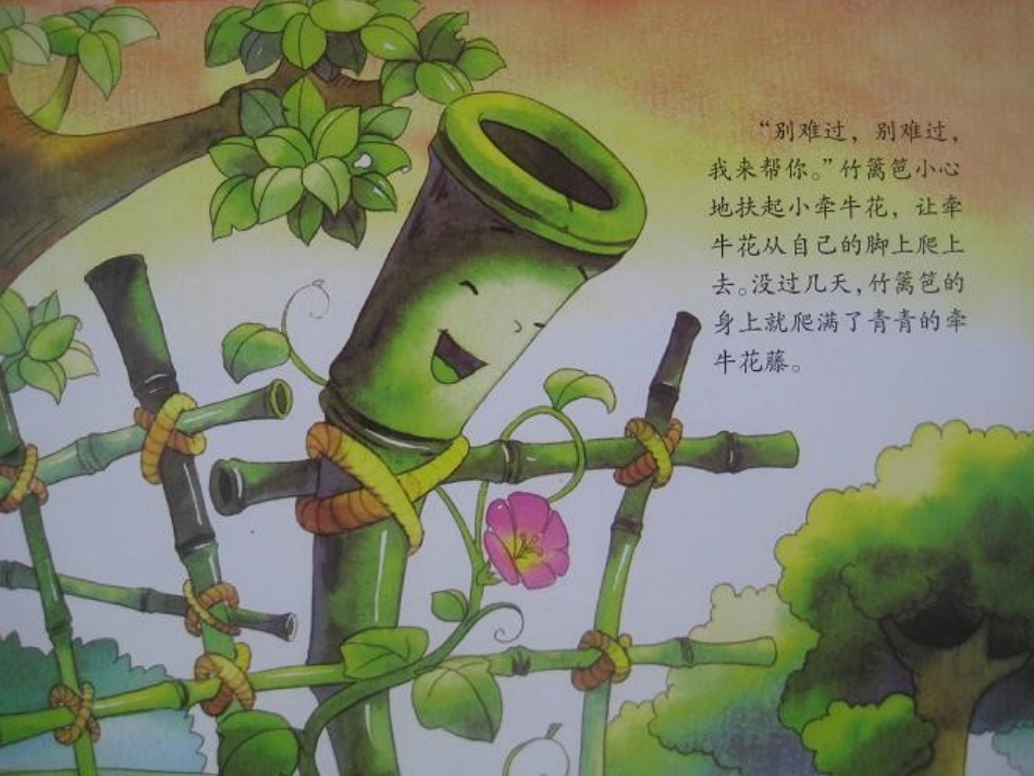 竹篱笆和牵牛花_第3页