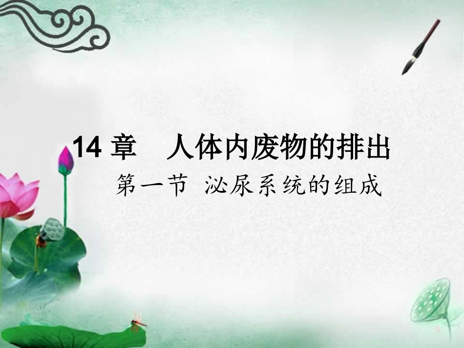 14章人体内废物的排出_第1页