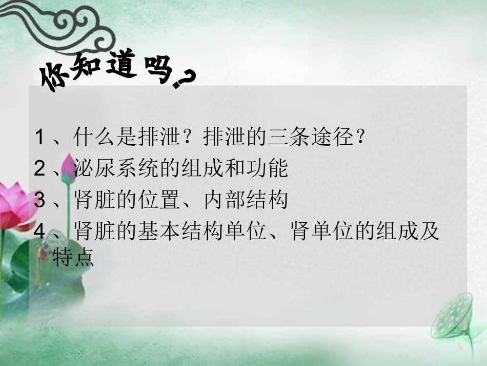 14章人体内废物的排出_第2页