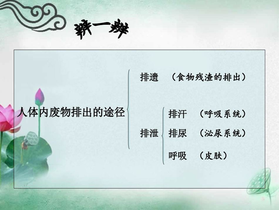 14章人体内废物的排出_第3页