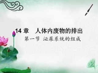 14章人体内废物的排出