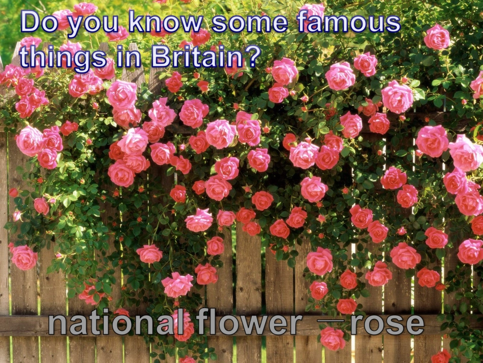 北师大-模块四unit-12-Lesson-1-Visiting-Britain(1)_第2页