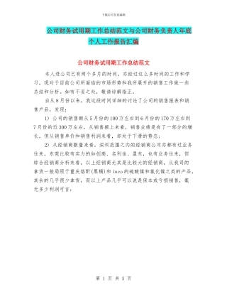 公司财务试用期工作总结范文与公司财务负责人年底个人工作报告汇编