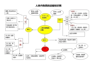 人体内物质的运输知识网