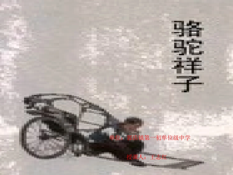 (部编)初中语文人教2011课标版七年级下册骆驼祥子-(2)_第1页