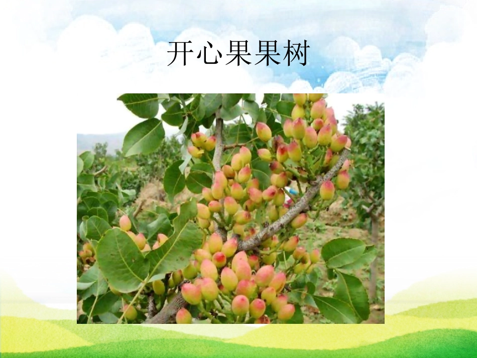 3做个“开心果”_第3页