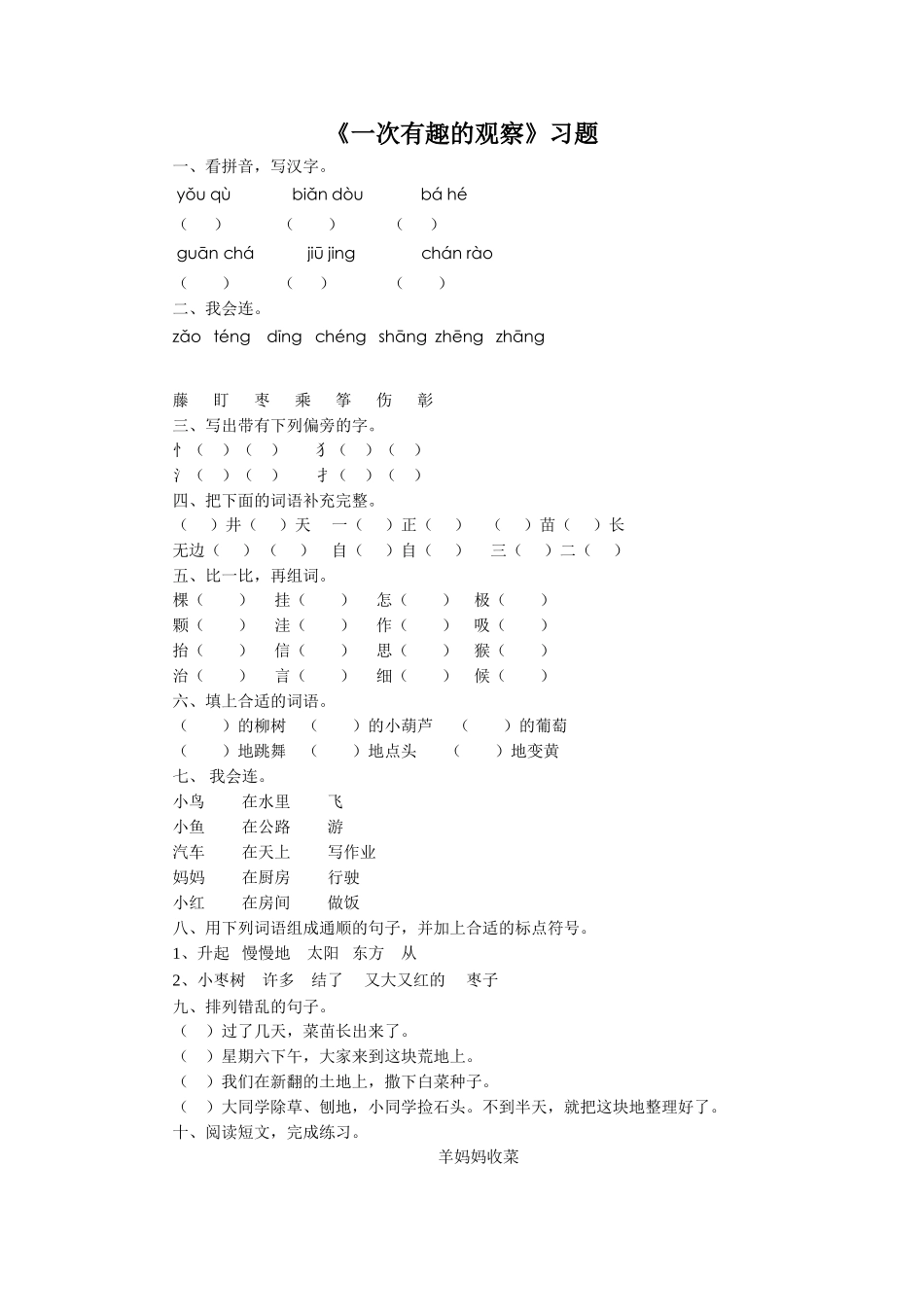 《一次有趣的观察》习题1_第1页