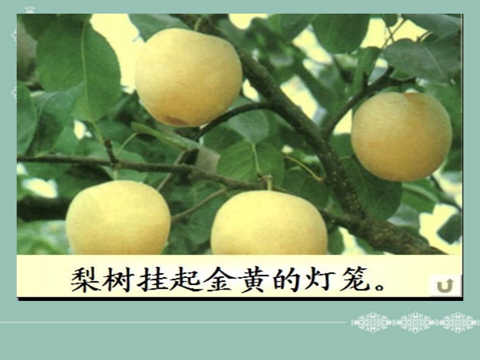 人教版三年级上册作文《美丽的秋天》PPT_第2页