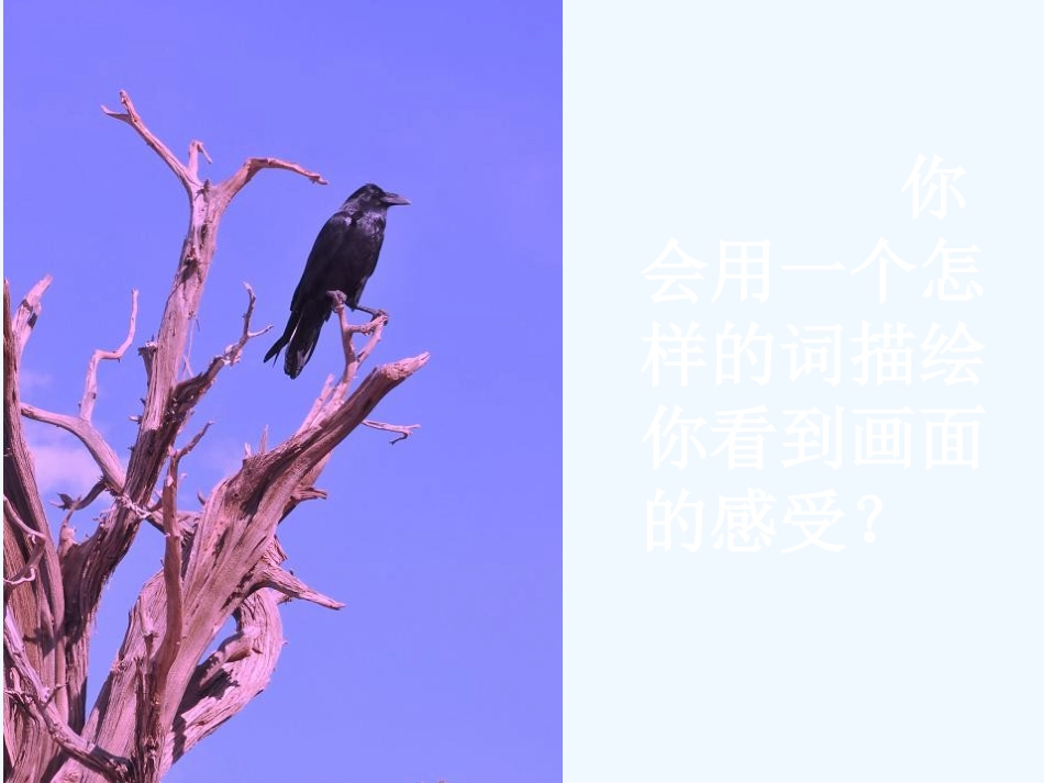 (部编)初中语文人教2011课标版七年级上册天净沙_第2页