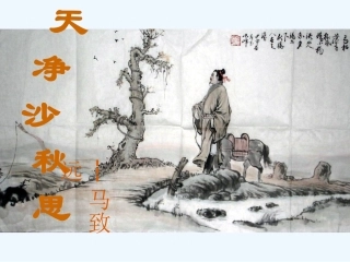 (部编)初中语文人教2011课标版七年级上册天净沙