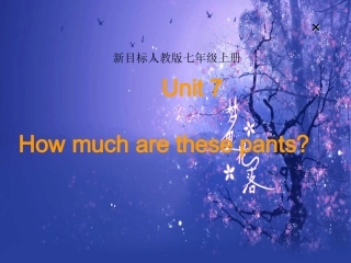 11Unit-7How-much-are-these-pants