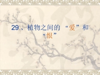 29、爱和恨