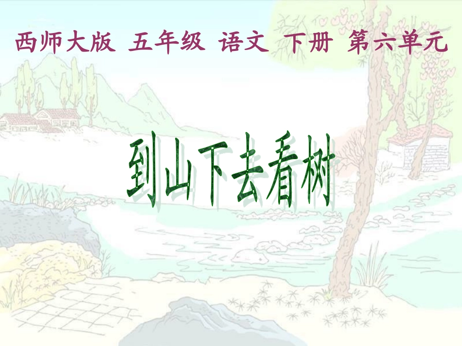 西师大版小学五年级语文下册第24课《到山下去看树PPT课件》_第1页