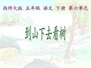 西师大版小学五年级语文下册第24课《到山下去看树PPT课件》
