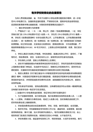 有关学校财务处的自查报告