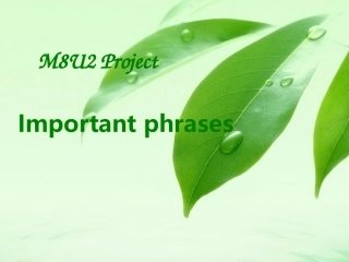 u2project(2)
